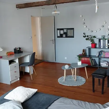 Large With Pool And Garden 度假居