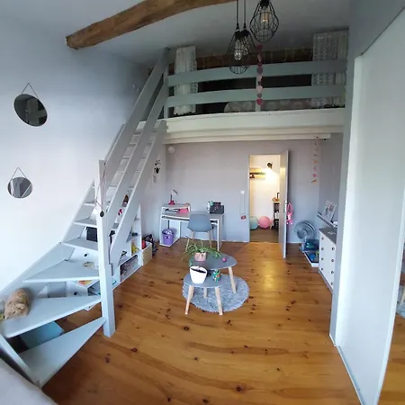 Large With Pool And Garden 度假居 Buzet-sur-Tarn