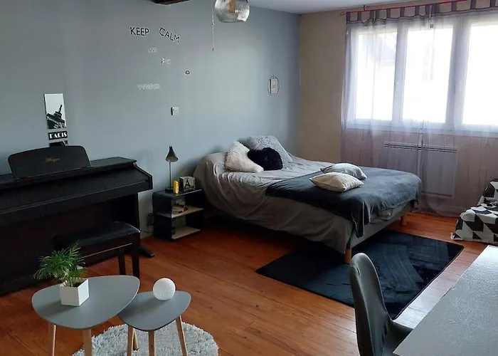 Large With Pool And Garden Buzet-sur-Tarn