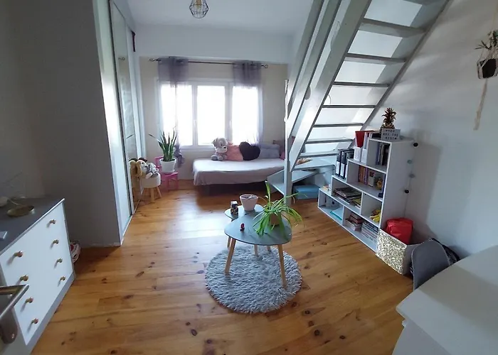 Large With Pool And Garden